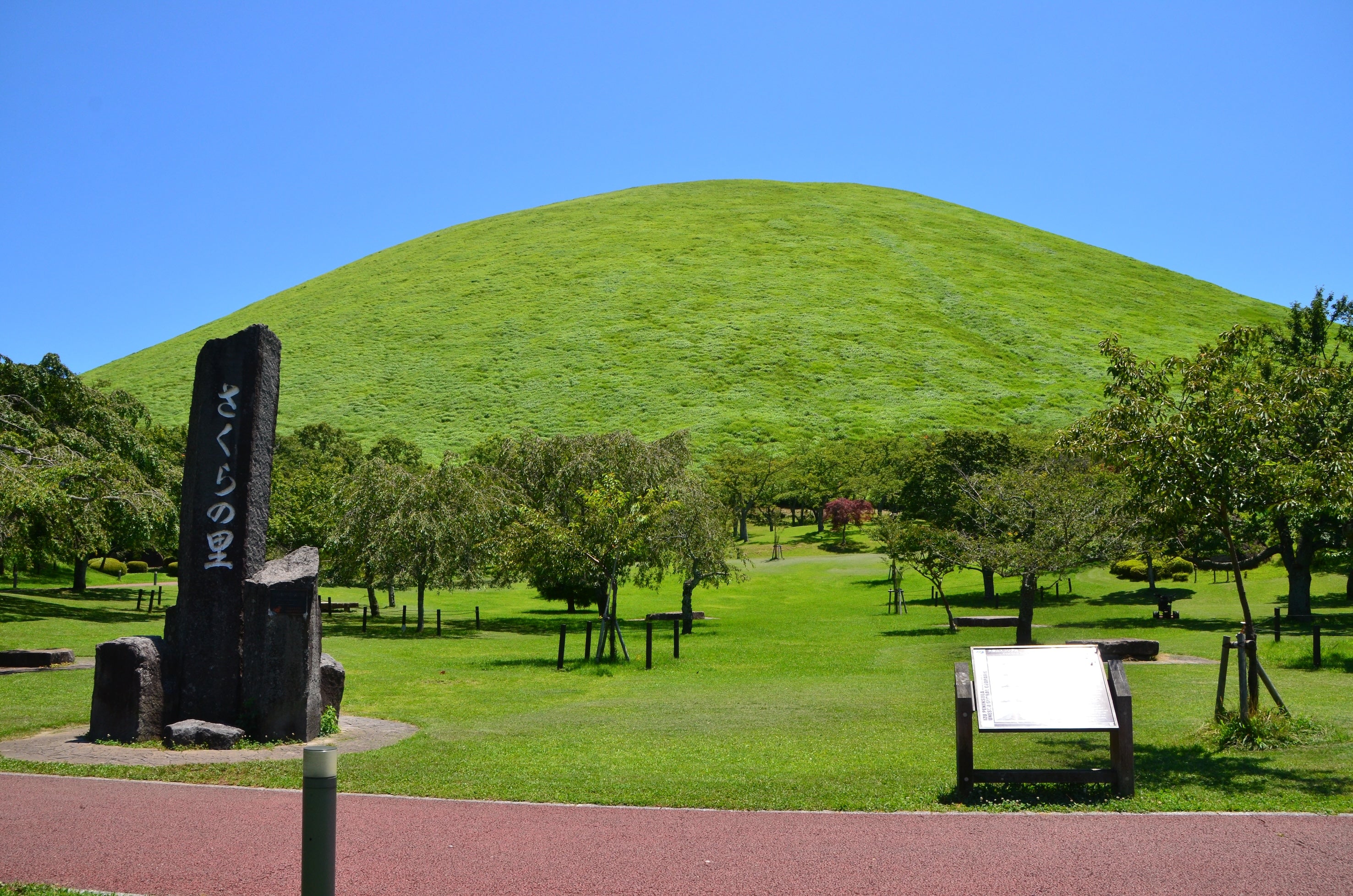 ファイアブルーム with 大室山