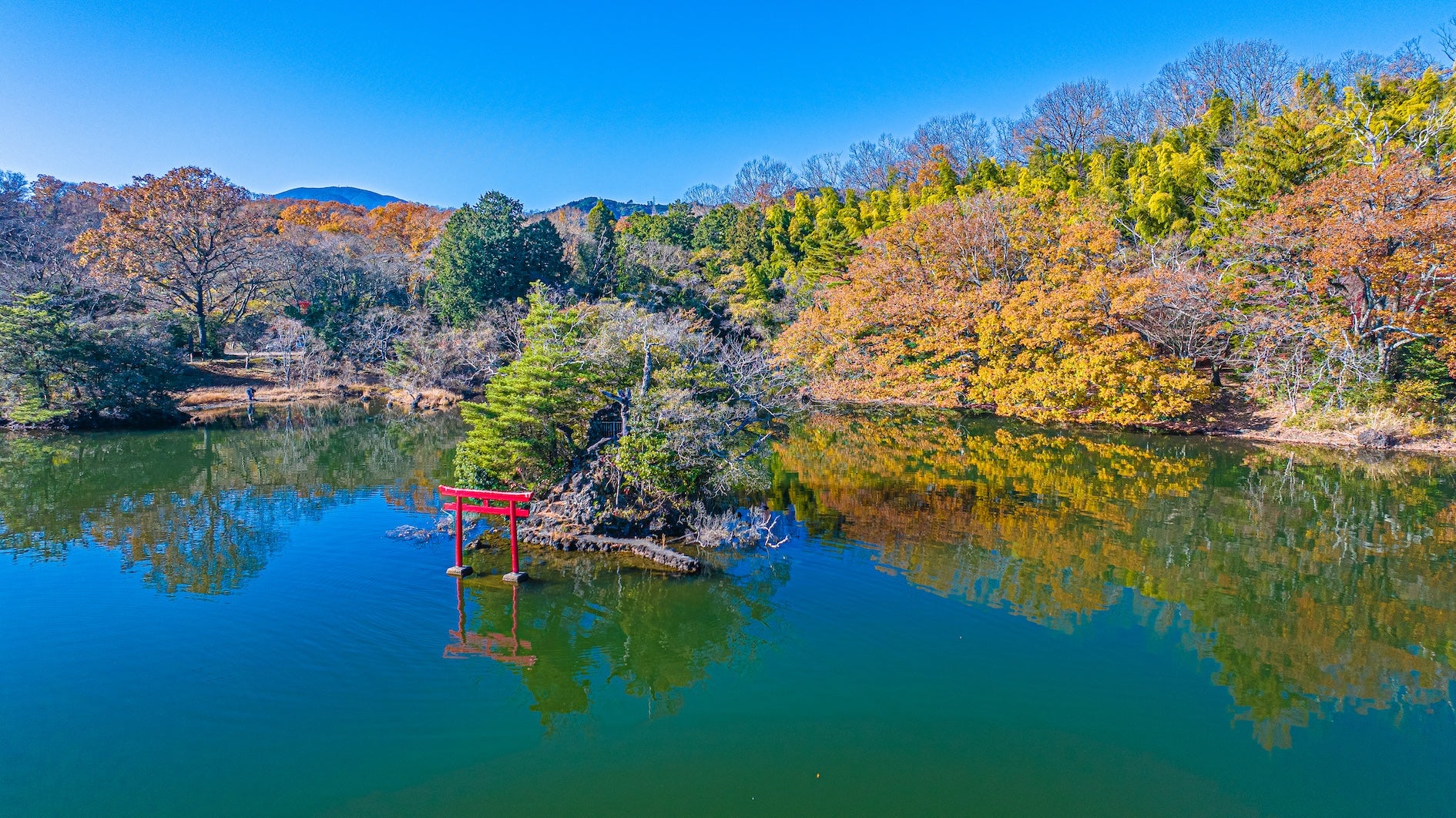 ビターブルー with 一碧湖