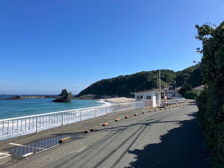 モーニングショット with 田牛海岸