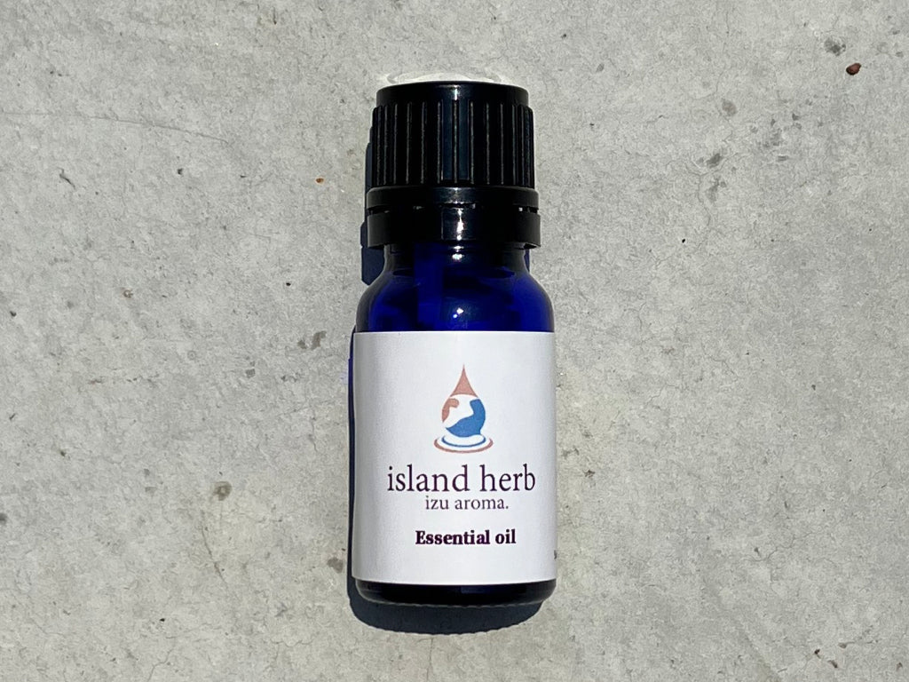 アウトドア with 下田公園