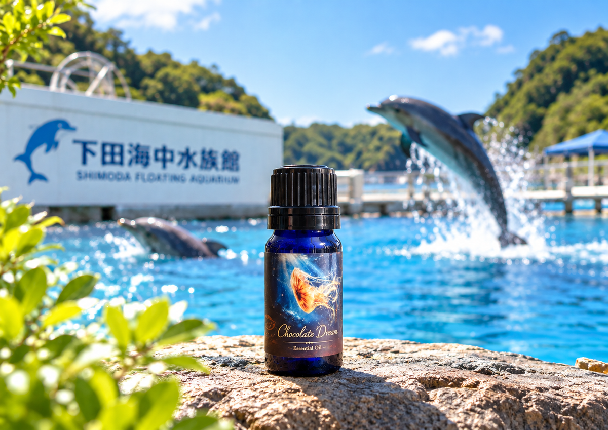 下田海中水族館オリジナル チョコレートドリーム