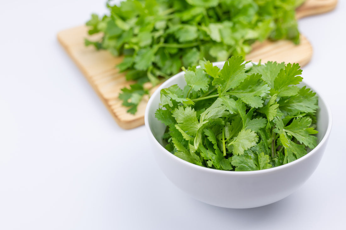 2.コリアンダー精油|甘くスパイシー