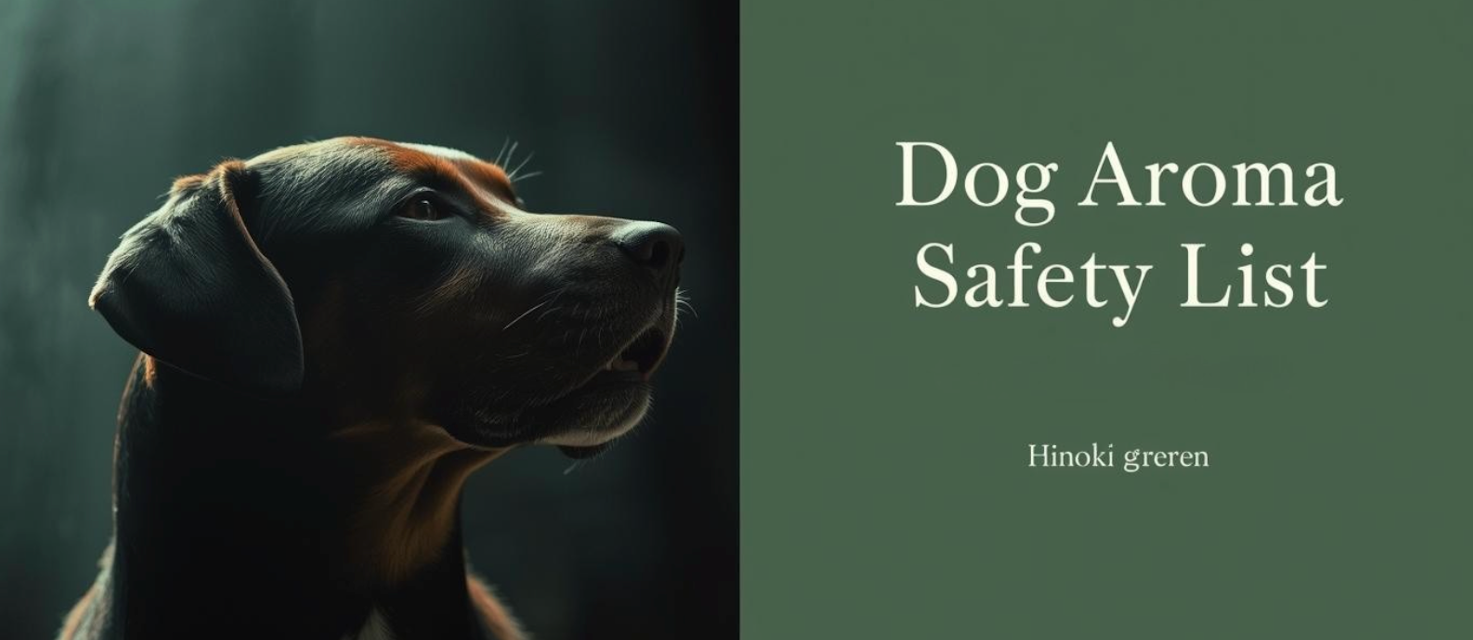 Dog & Me シリーズ