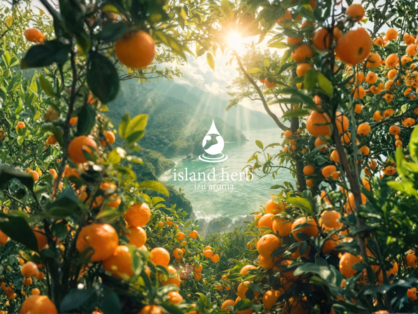 CITRUS STYLE｜伊豆産柑橘のウェルカムアロマ