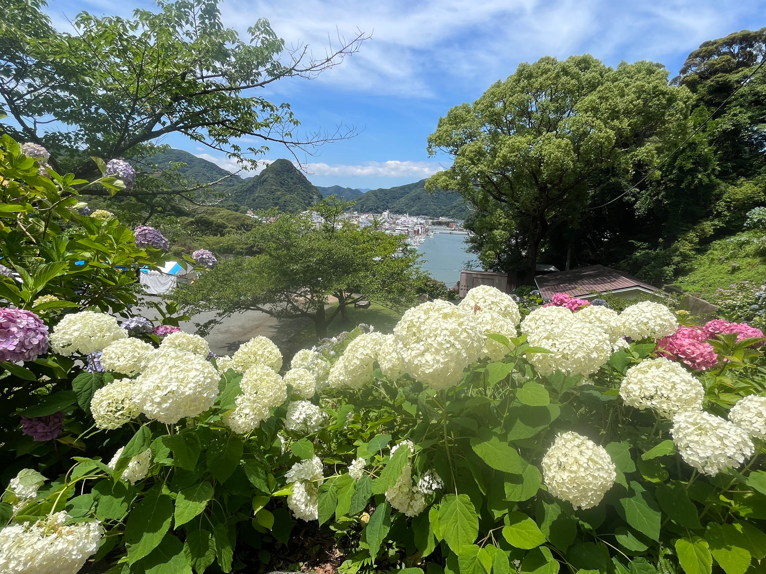 アウトドア with 下田公園