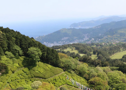 リラックス with 熱海の森