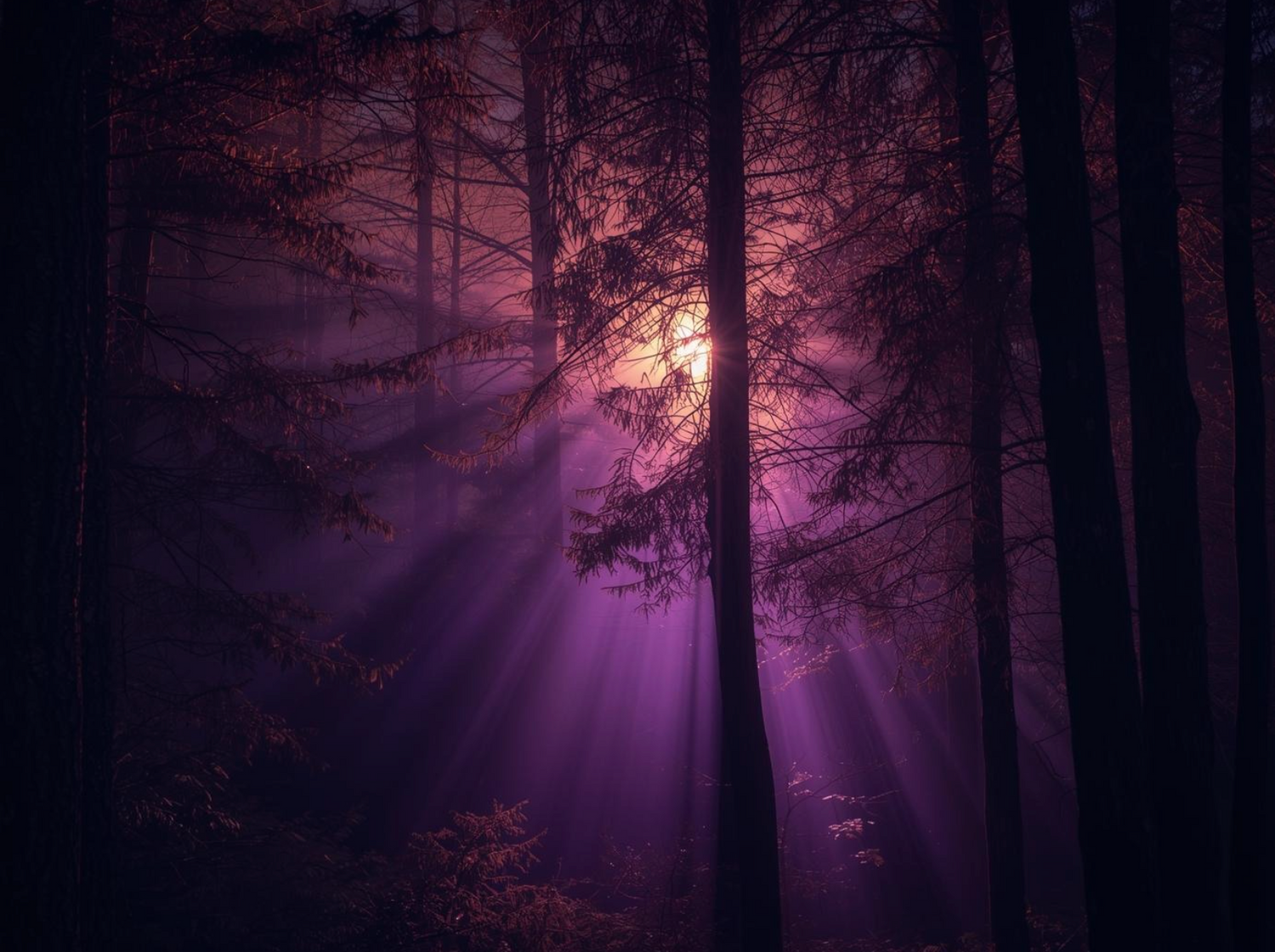 Dog &amp; Me「Calm Forest」