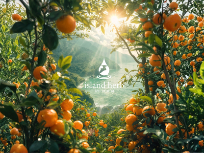 シトラスクラシック – Citrus Classic