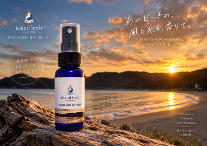 ナイトミスト with 弓ヶ浜
