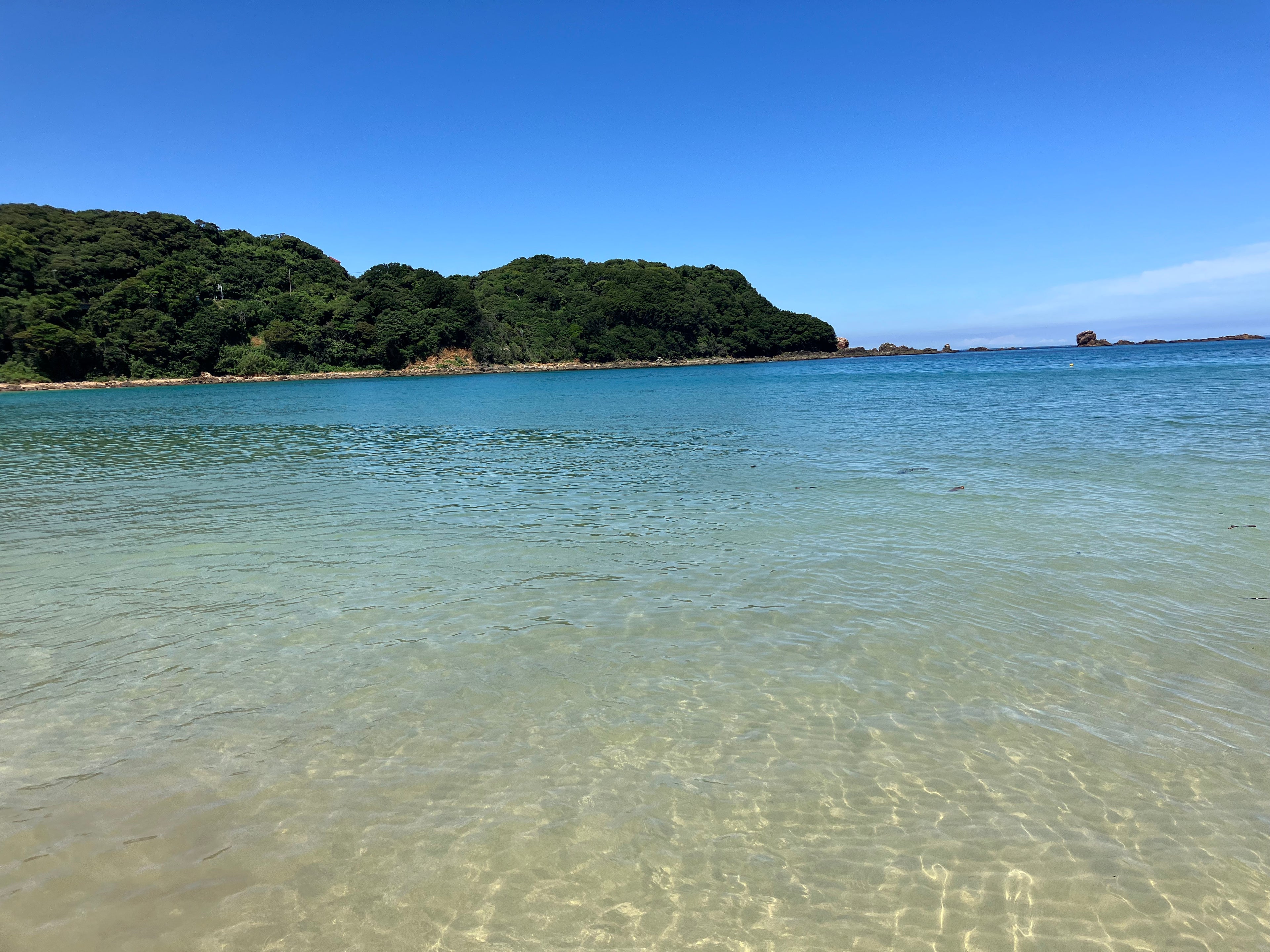 リラックス with 鍋田浜　プロフェッショナル専用オイル