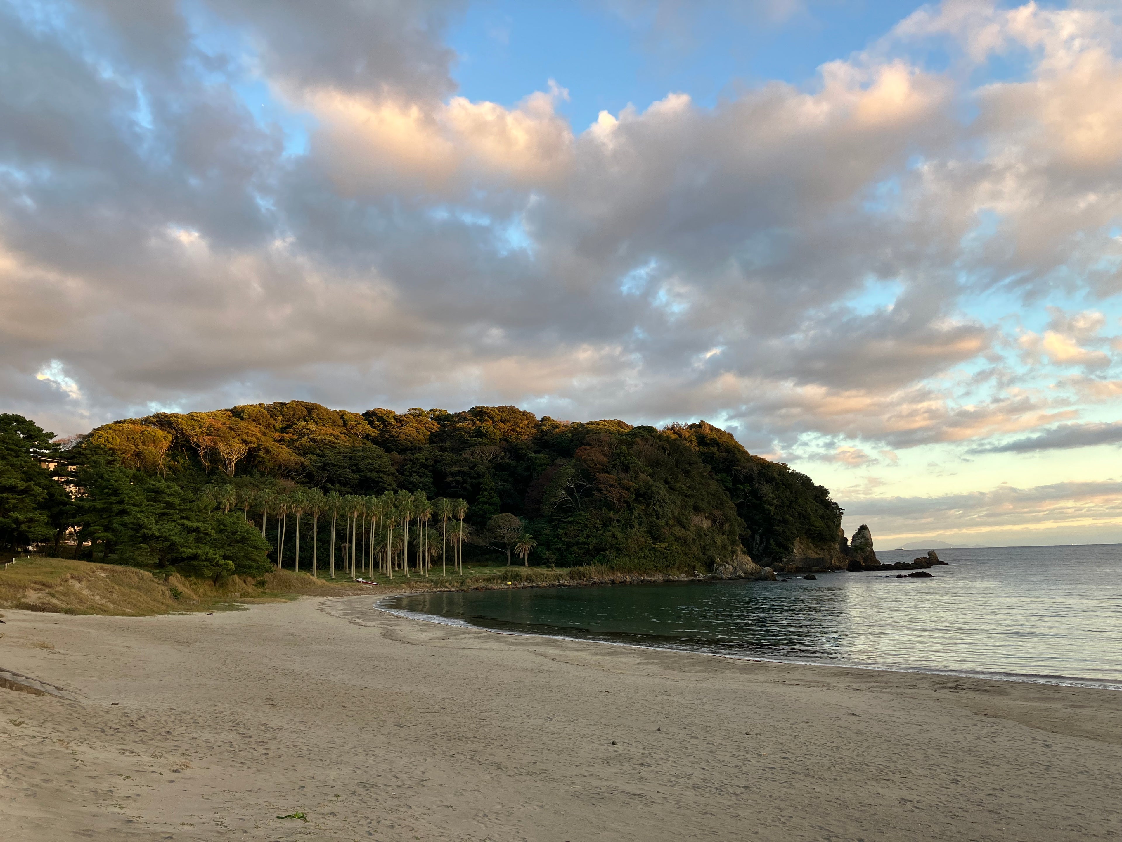 ナイトミスト with 弓ヶ浜