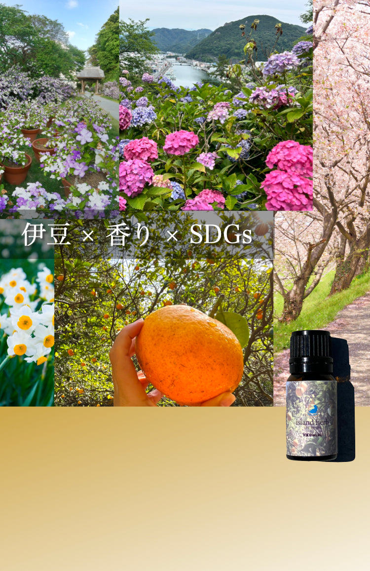 天然精油のアロマ専門店｜伊豆発 Island Herb Izu Aroma – island herb